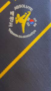 Image result for Absolute tae kwon do association