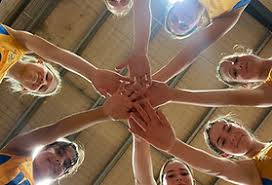 Image result for Willenhall Town Wanderers Netball Club