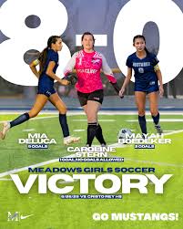 Image result for Meadows Sports Association