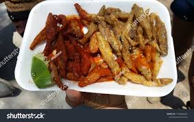 Attēlu rezultāti vaicājumam “Charales”