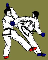 Image result for Itf Taekwondo Woking