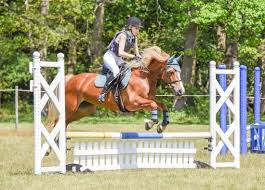 Image result for Chobham and District Riding Club