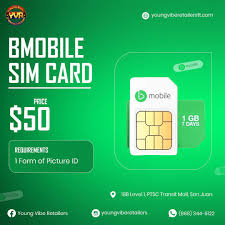 Image result for b-mobile sim