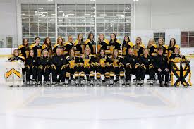 Image result for Kingston Ice Dance Club