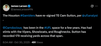 Image result for Sutton Vipers