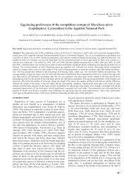 Attēlu rezultāti vaicājumam “Maculinea alcon eggs”