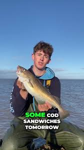 Image result for Bristol Channel Sea Fishing