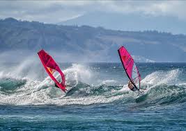 Image result for Aloha Sailboards