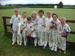 Image result for Methley Cricket Club