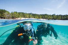 Image result for Blue Water Diving