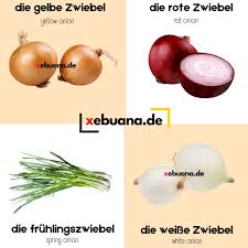 Image result for Zwiebeln