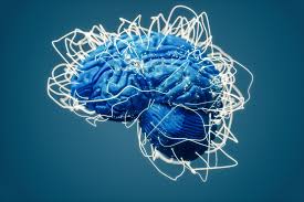 Image result for map of the brain