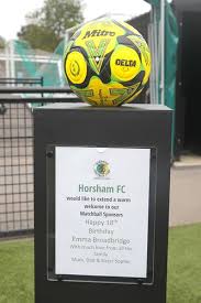 Image result for Virginia Water Fc