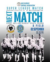 Image result for Wolverhampton City Netball League