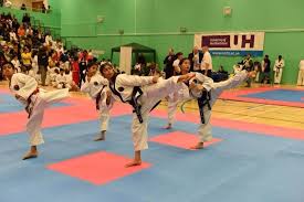 Image result for London Colney Tae Kwon Do  (I.T.F. / LTSI / A.F.T.)
