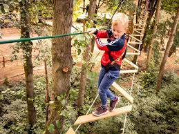 Image result for Go Ape! Whinlatter