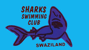 Image result for Sharks Swimming Club Of Mottingham