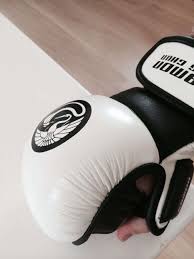 Image result for Kamon Wing Chun