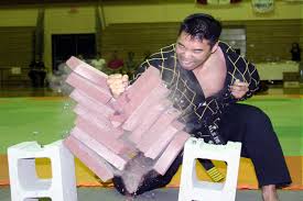 Image result for Kees Tae Kwon Do