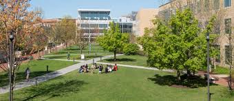 Image result for Little Common Community Sports Club