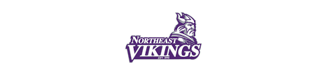 Image result for North East Vikings