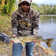 Image result for Sander vitreus