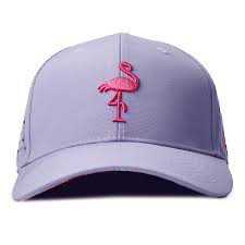 Image result for Flamingo Cricket Club