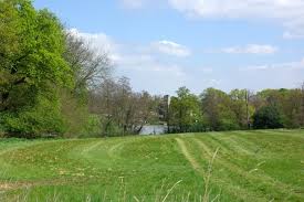 Image result for Gosfield CC