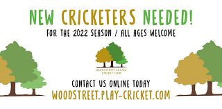 Image result for Wood Street Village Cricket Club