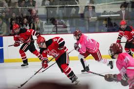 Image result for Bramhall Hockey Club