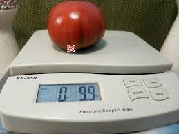 Afbeeldingsresultaat voor carbon tomato