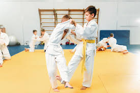 Image result for British Jujitsu Ryu