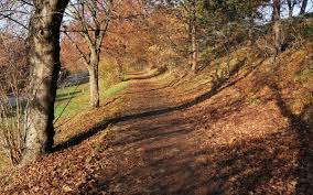 Image result for Springhead Park Bowling Club