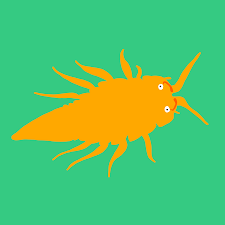 Attēlu rezultāti vaicājumam “Saduria entomon”