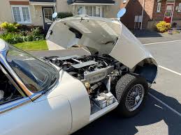 Image result for Old English White 1971 Jaguar