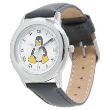 Image result for Linux watch
