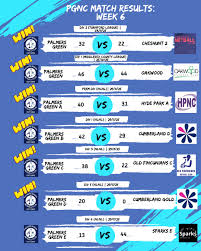 Image result for Palmers Green Netball Club