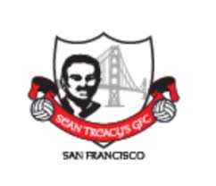 Image result for Sean Treacy`s Hurling Club