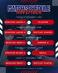 Image result for Telecom Badminton Club