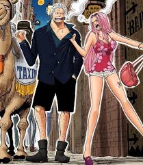 「ヒナ ONE PIECE」の画像検索結果