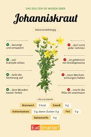 Image result for Johanniskraut