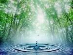 Papel de parede 'Gota na <b>Água</b>'