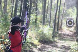 Image result for Frome Valley Archers