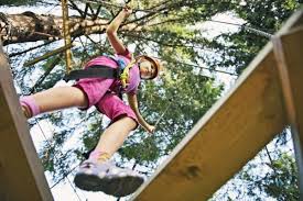 Image result for Go Ape! Dalby