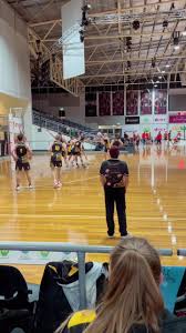 Image result for Flames Netball Club