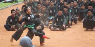 Image result for Silat Pd (Perisai Diri) UK
