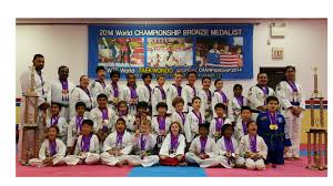 Image result for Chichester Tae Kwon Do