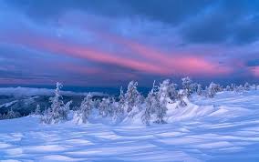 Image result for schnee