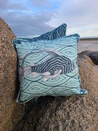 Image result for Marazion Smbc