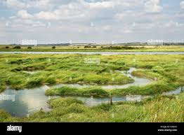 Image result for Benfleet Rc